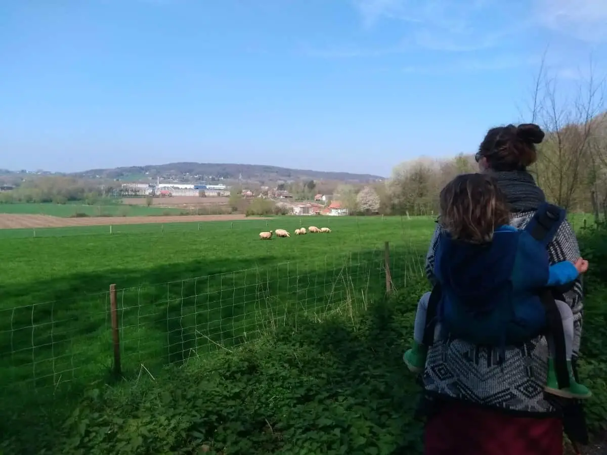 Babs and N looking at the sheep with N in the wompat toddler carrier