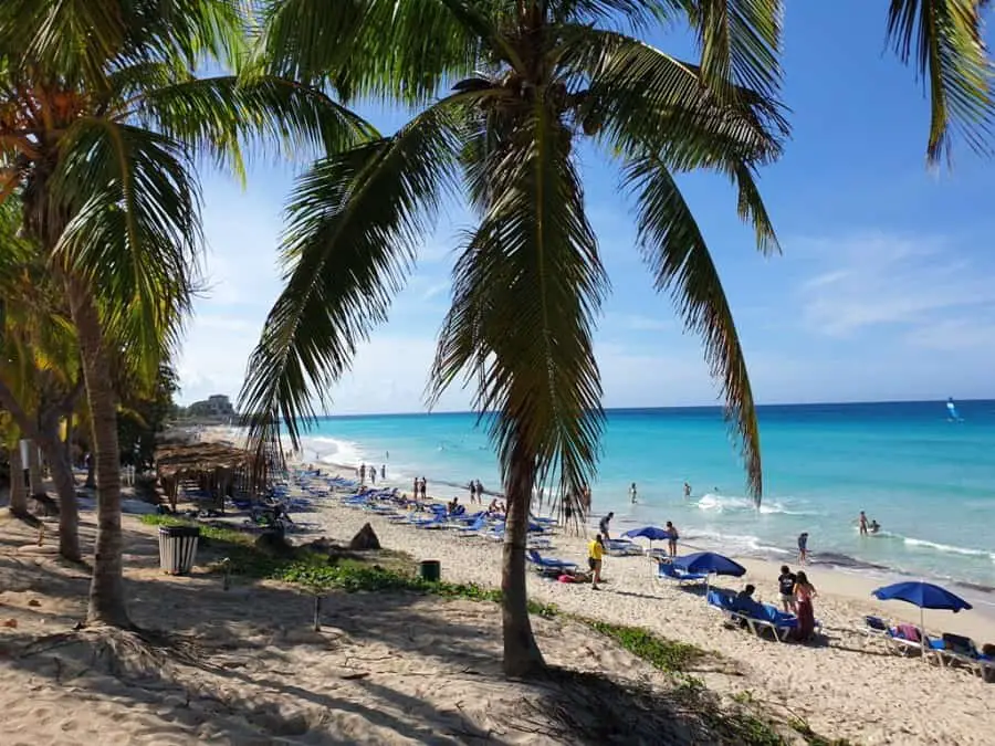 view through palm trees of Varadero, the famous beach in Cuba