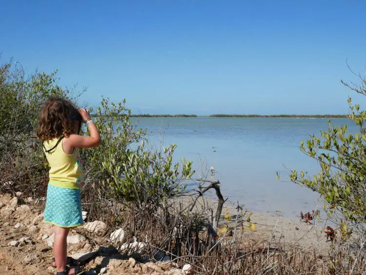 our daughter birdwatching in Playa Larga, definitely a hidden gems Cuba for us
