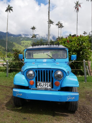 Bright blue Willy at the start of the cocora valley