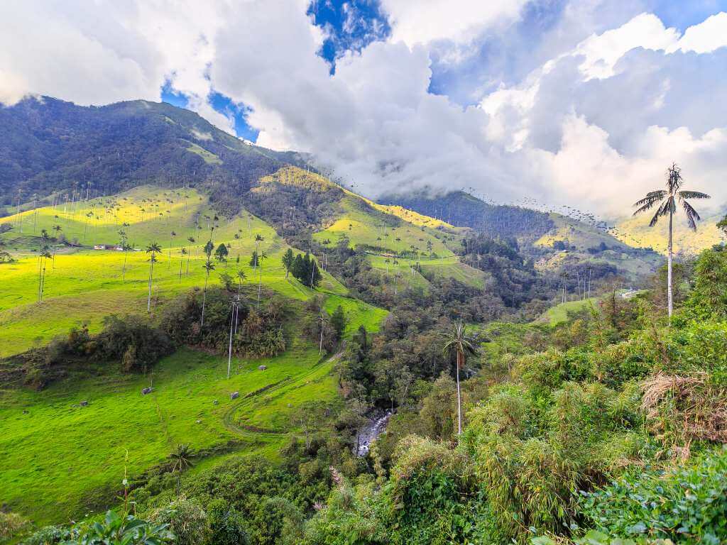 National Park Los Nevados that also holds the Cocora Valley, definitely one of the best things to do in Salento, Colombia
