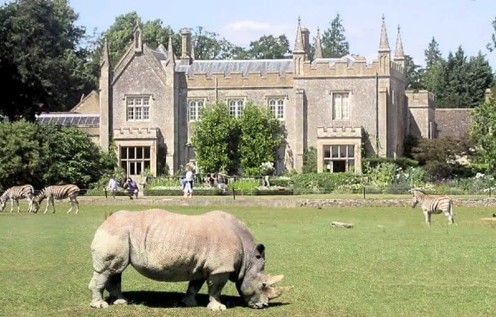 Rhinos and zebras at Cotswold Wildlife Park