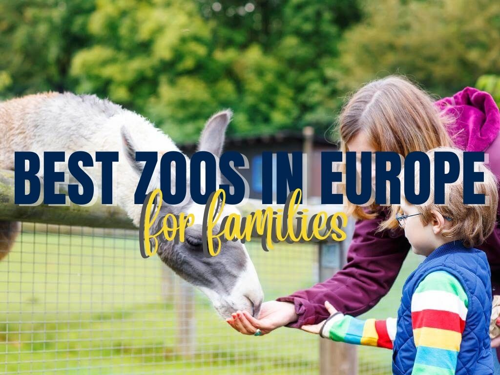 mother and child feeding an animal in the zoo with the overlaying text 'Best Zoos in Europe in dark blue letters and 'for families' in yellow letters