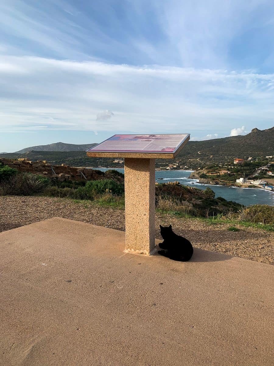 A black cat below the guide in Temple of Poseidon with the blue seas on the background.