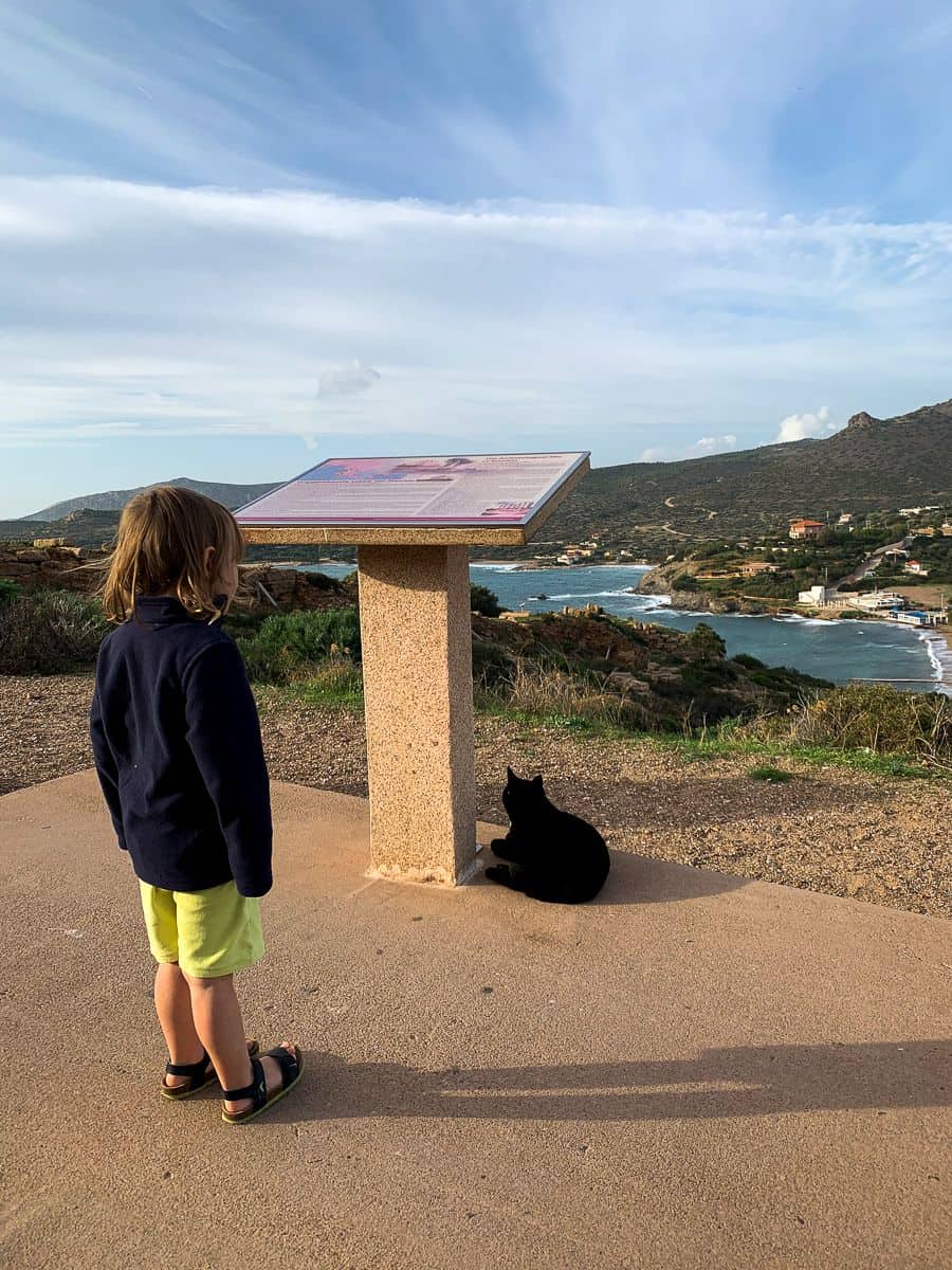 O checking out the black cat below the Temple of Poseidon's guide.
