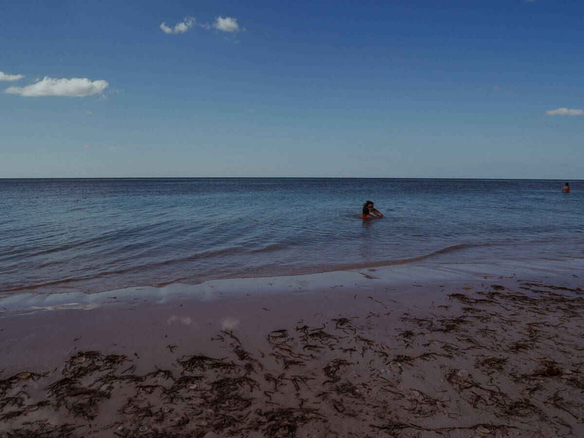 Kath and our daughter are having fun in the ocean.