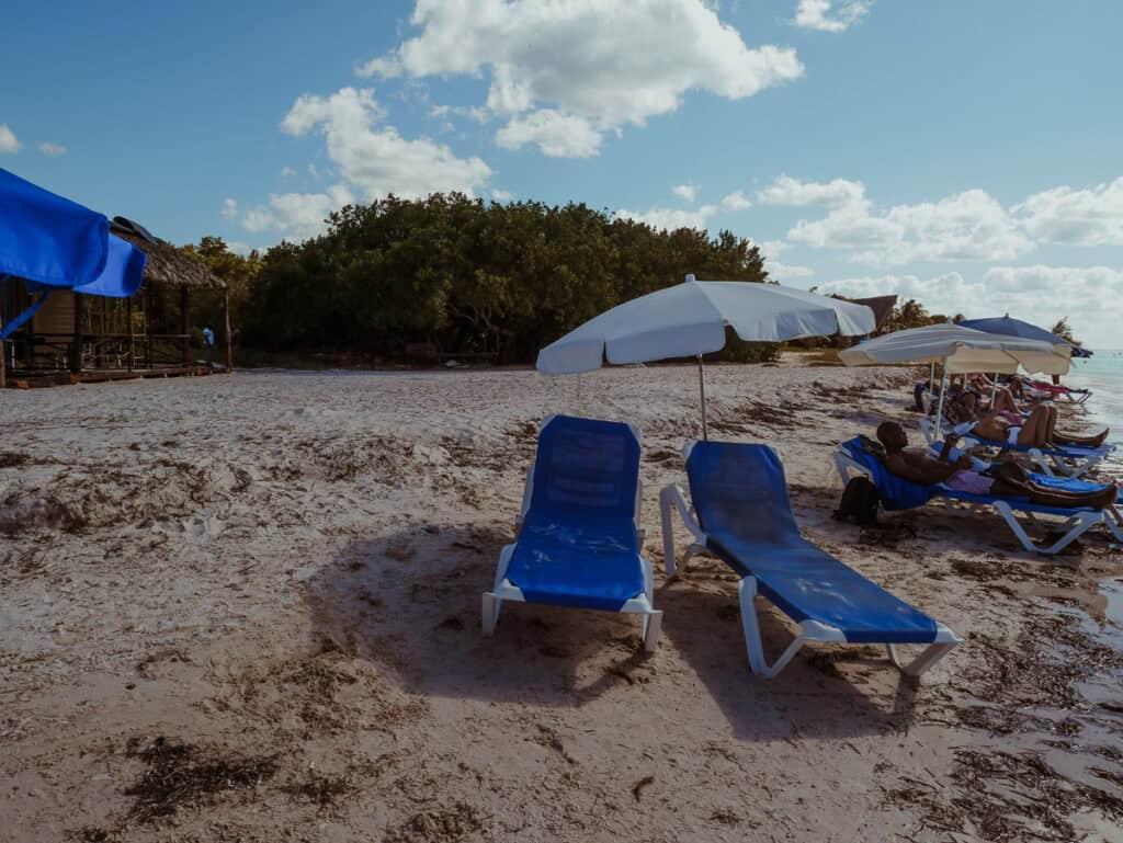 Visitors are lounging on blue beach chairs under umbrellas on a sandy beach.