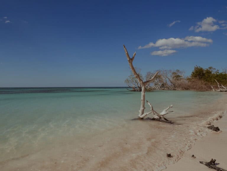 A scenic view of the beach at Cayo Jutías.