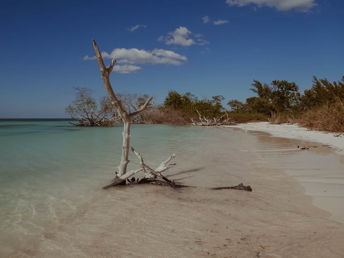A scenic view of the beach at Cayo Jutías.