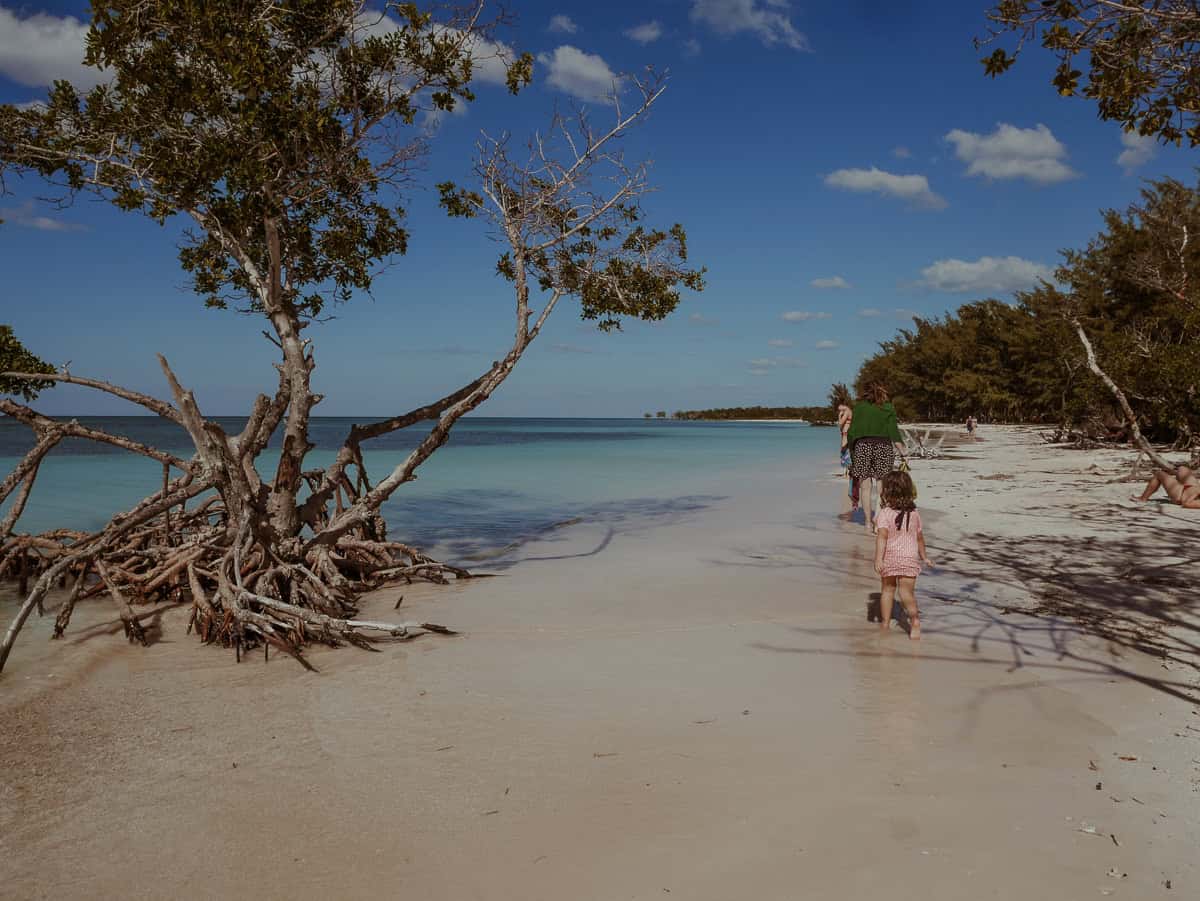 Kath and our daughter are strolling on the white sand beach, with mangrove trees lining the shore.