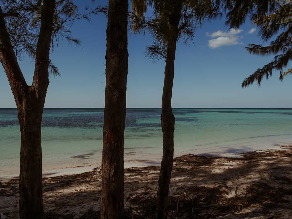 View of Cayo Jutías beach through tree trunks, showing white sand, turquoise water, and a blue sky.