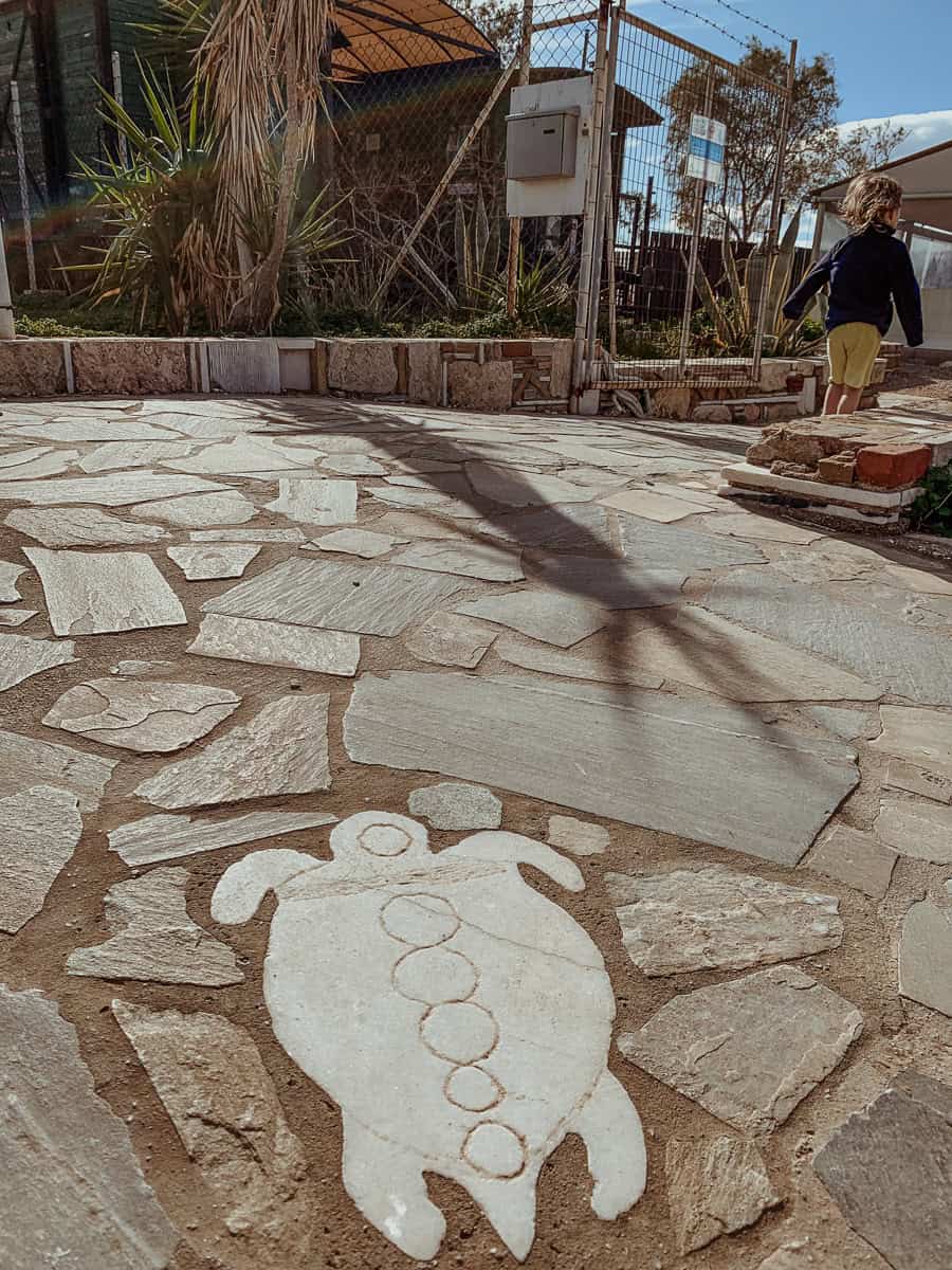 Patio at Archelon Sea Turtle Rescue Centre with a turtle mosaic in stone and dirt paving, my son visible in the background near a fence and greenery.