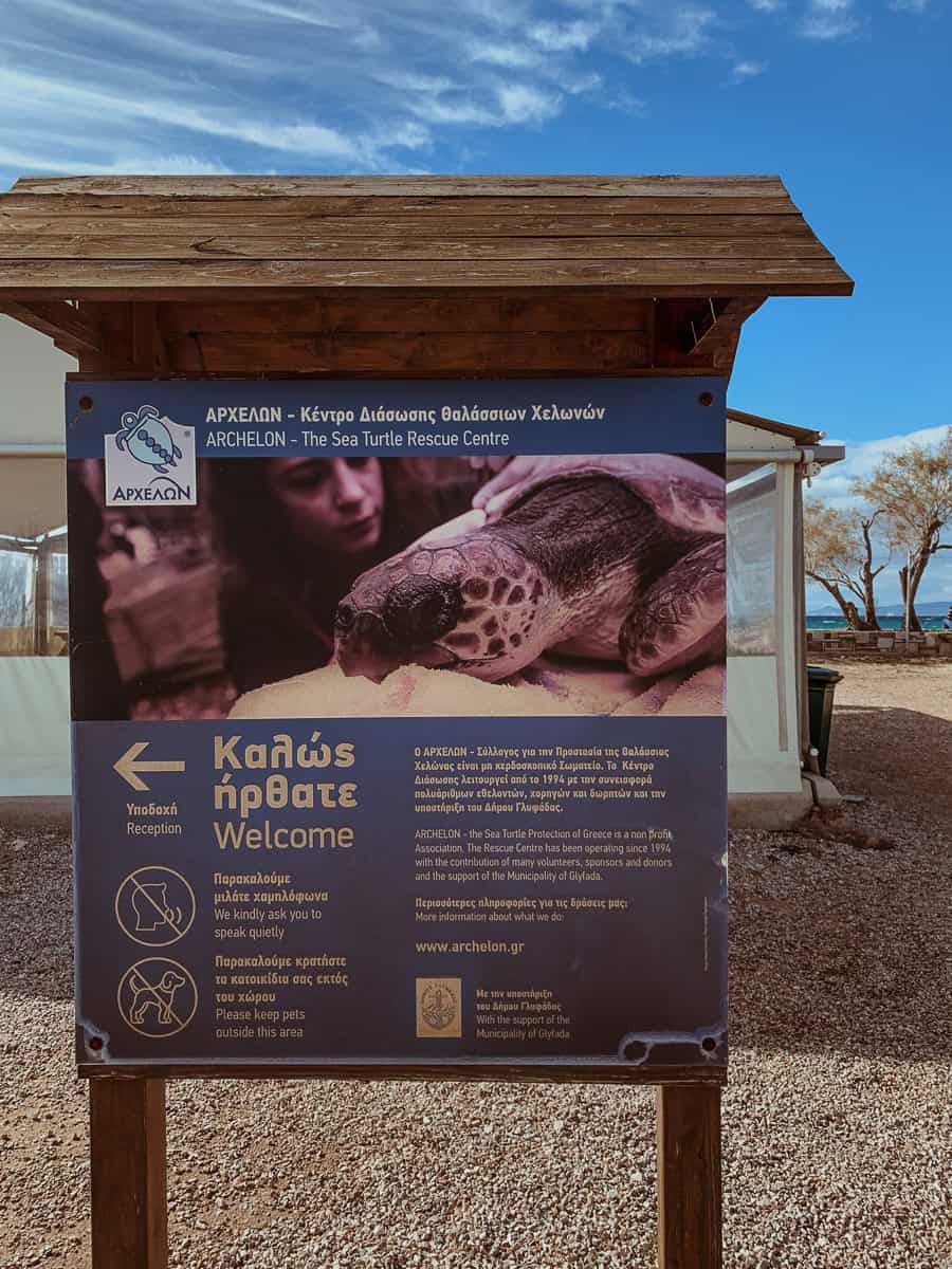 The sign provides information about the Archelon Sea Turtle Rescue centre and rules for visitors.
