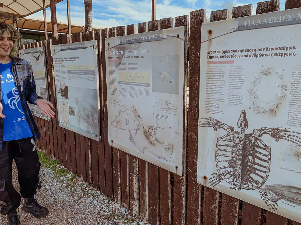 Our main guide is standing next to several informational display boards about sea turtles.