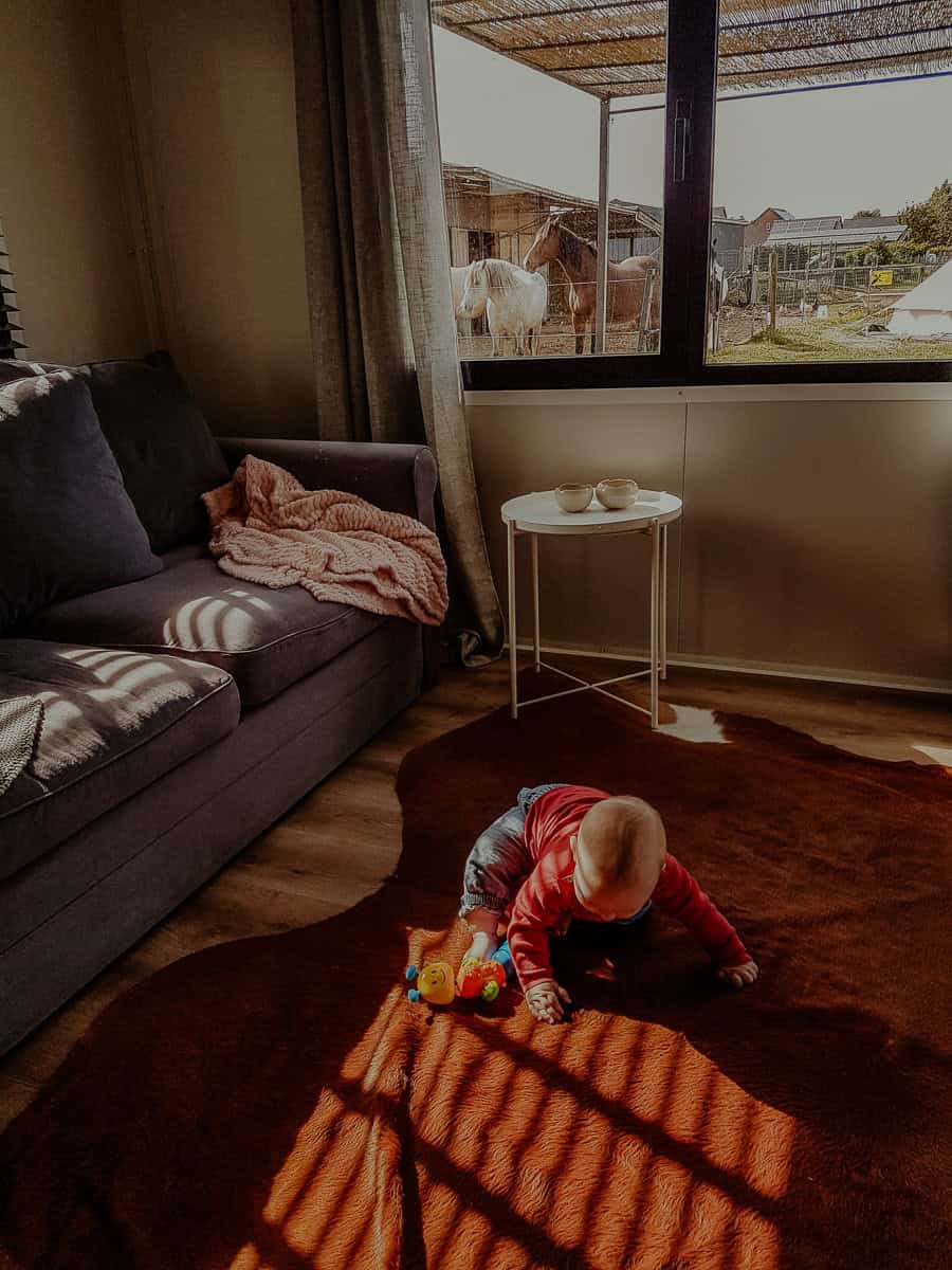 Baby playing on a rug near a window with horses outside during a hotel stay.