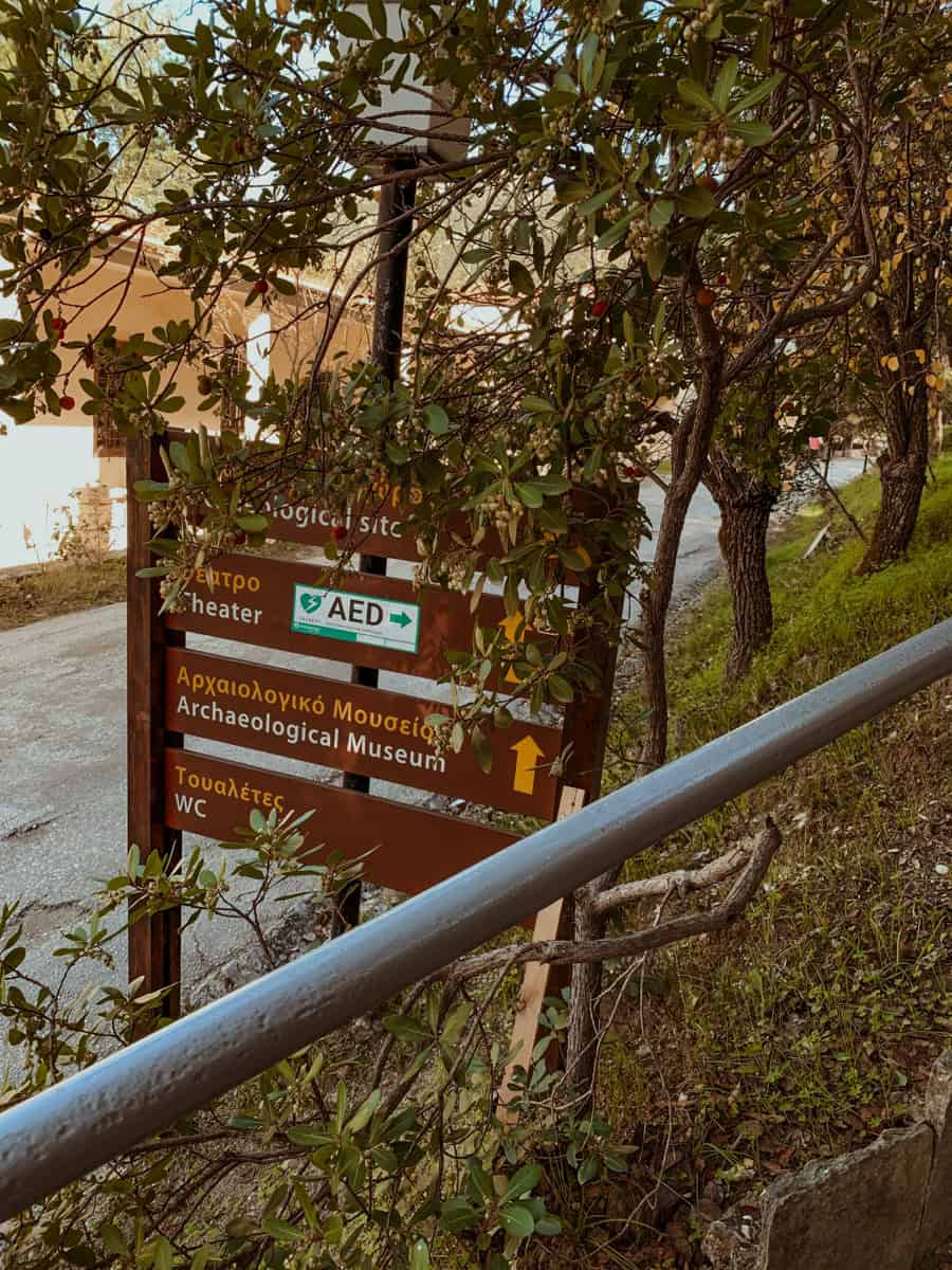 A brown wooden directional sign with yellow text pointing toward the theater, museum, and restrooms at an archaeological site, partially framed by tree branches and a metal handrail.