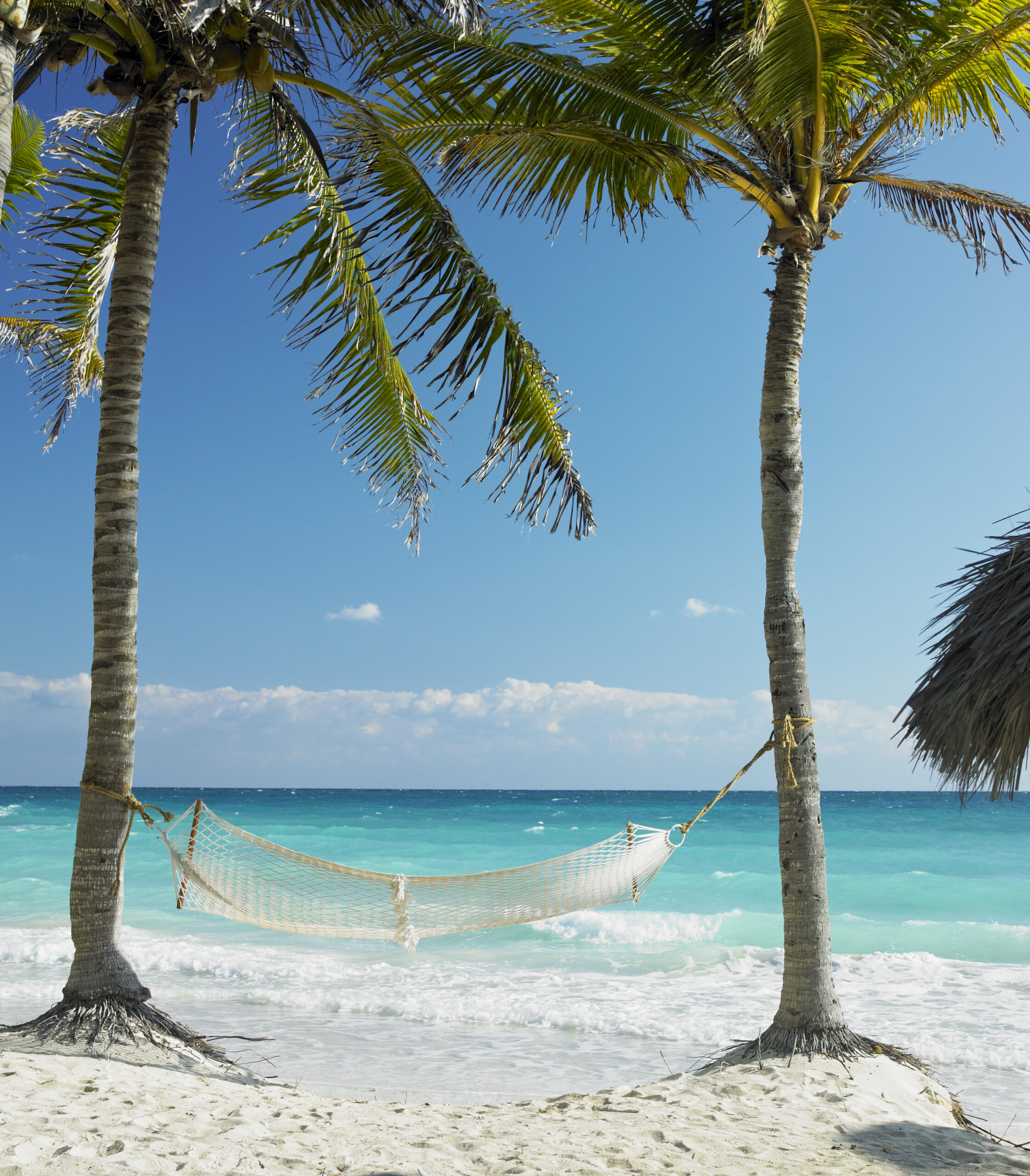 A white mesh hammock hangs between two palm trees on a sandy beach in Cayo Coco, Cuba, overlooking turquoise ocean waves and a clear blue sky.